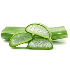 Aloe Vera Leaves