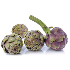 Artichokes Purple