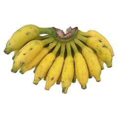 Baby Bananas