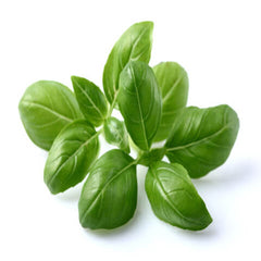 Basil Leaves