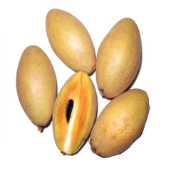 Chickoo (Sapodilla)