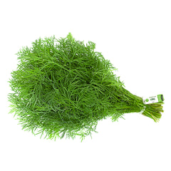 Fennel Leaves