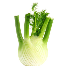 Fennel