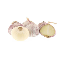 Garlic Solo