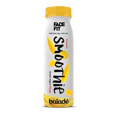 Greek Yoghurt Smoothie