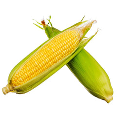 Sweet Corn