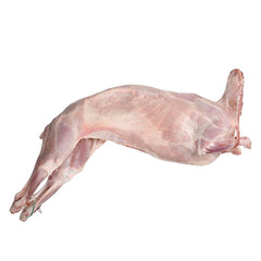 Jaziri Lamb