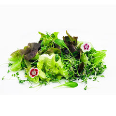 Lettuce Salad