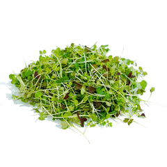 Microgreens