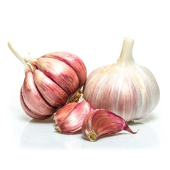 Purple Garlic