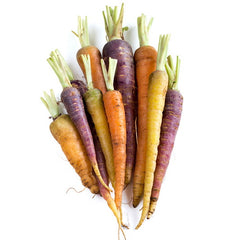 Rainbow Baby Carrots