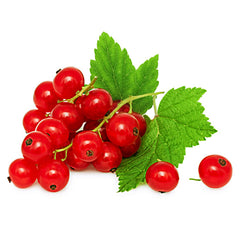 Red Currants