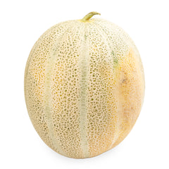 Rock Melon