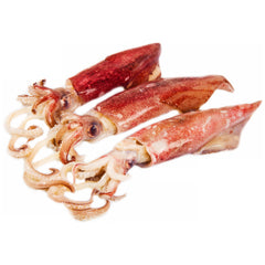 Squid Whole