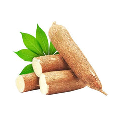 Tapioca