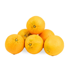 Valencia Oranges