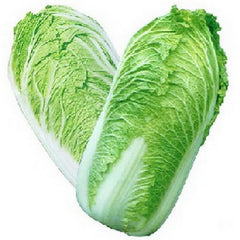 Chinese Cabbages