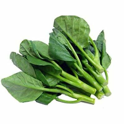 Baby Kailan Leaves