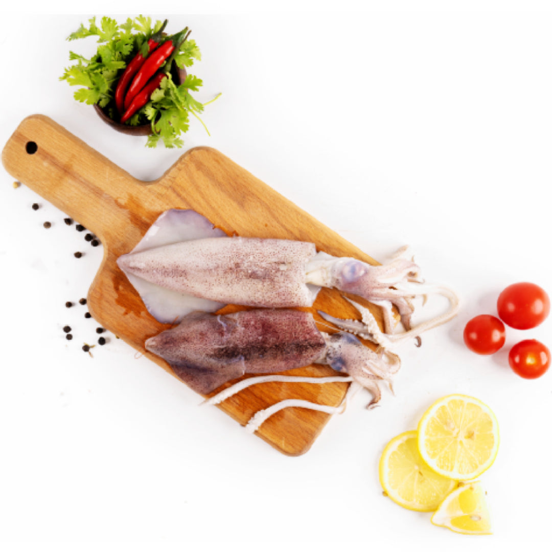 Calamari