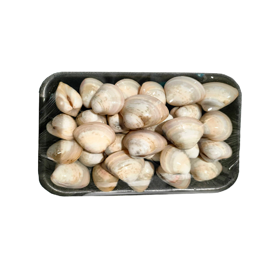 Clams Whole