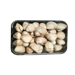 Clams Whole