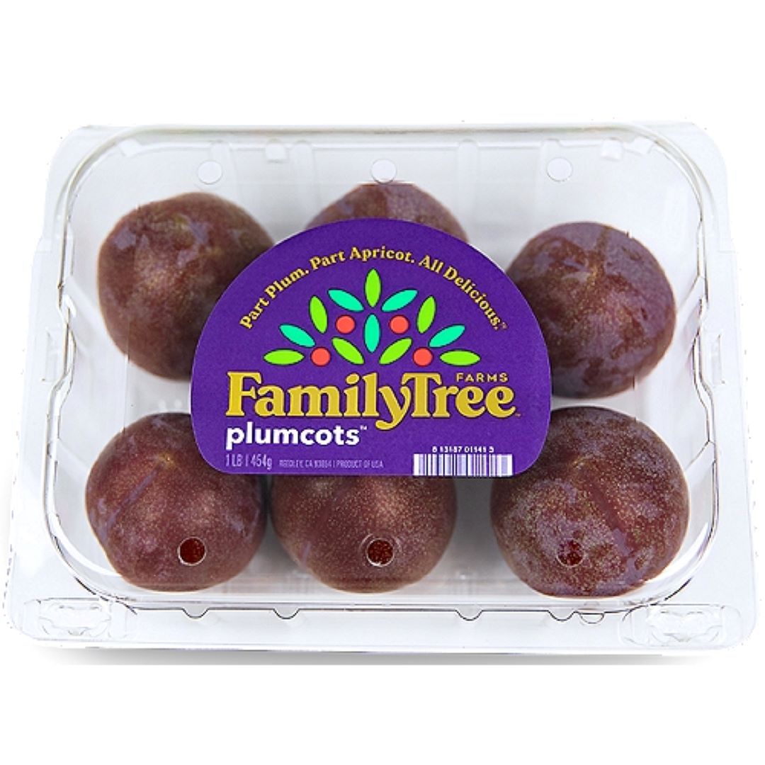 Plumcots