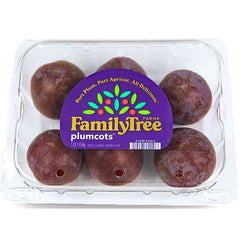 Plumcots