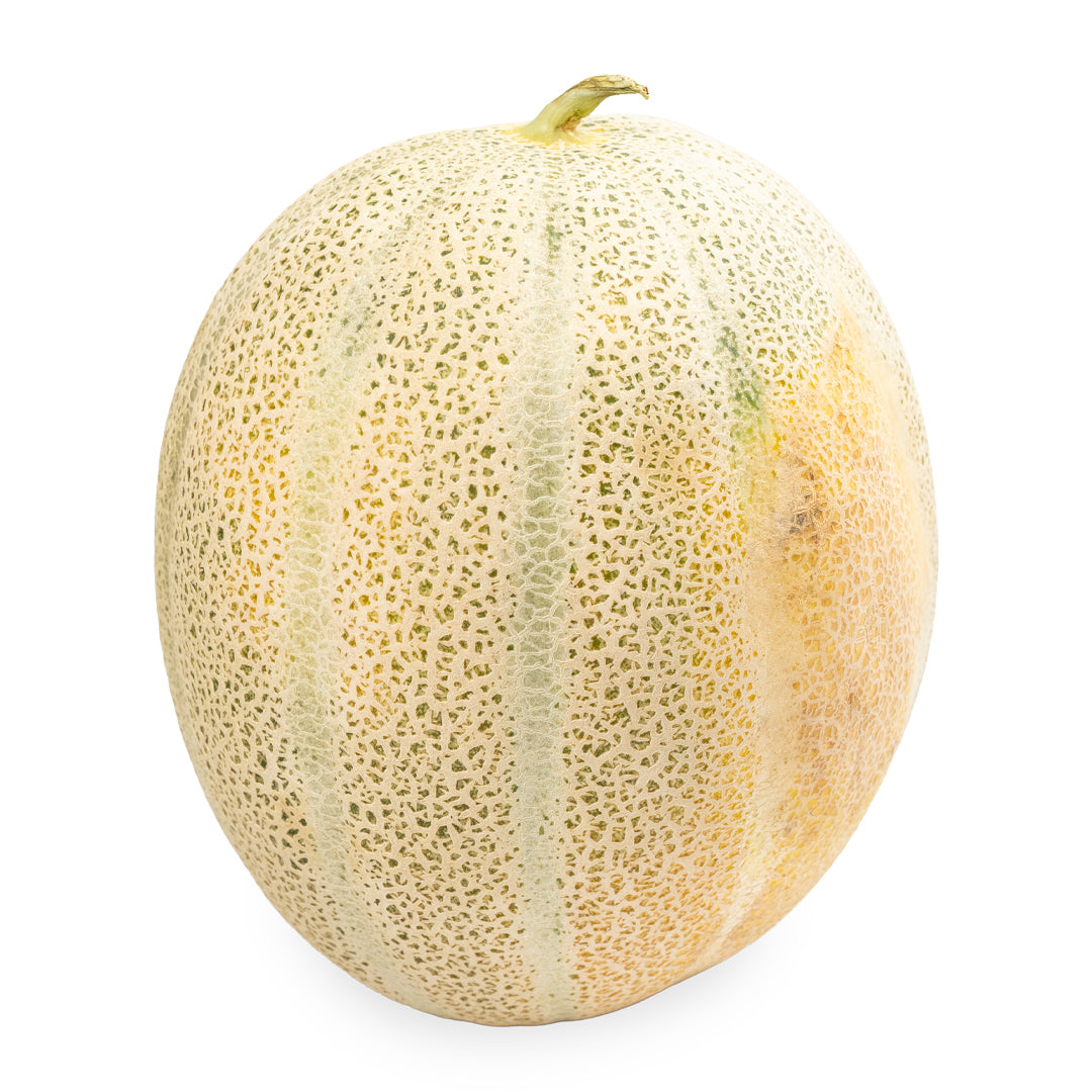 Rock Melon